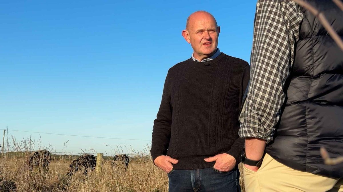 Jeff standing in the paddock on his Canterbury lifestyle block, cattle grazing behind him