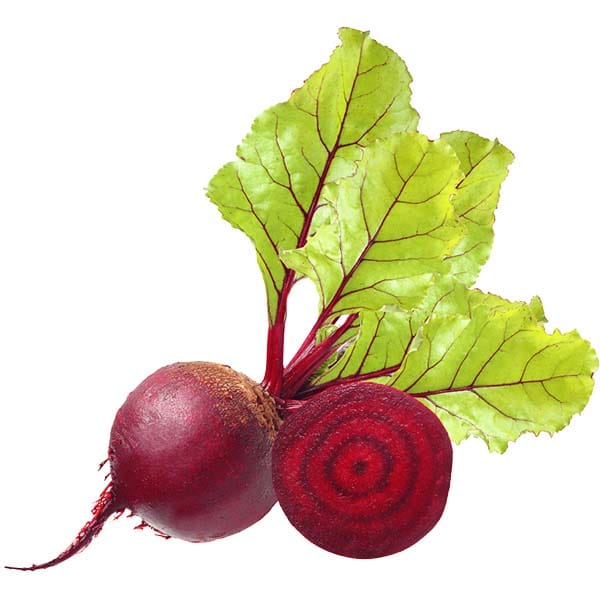 Beetroot, a food source of TMG